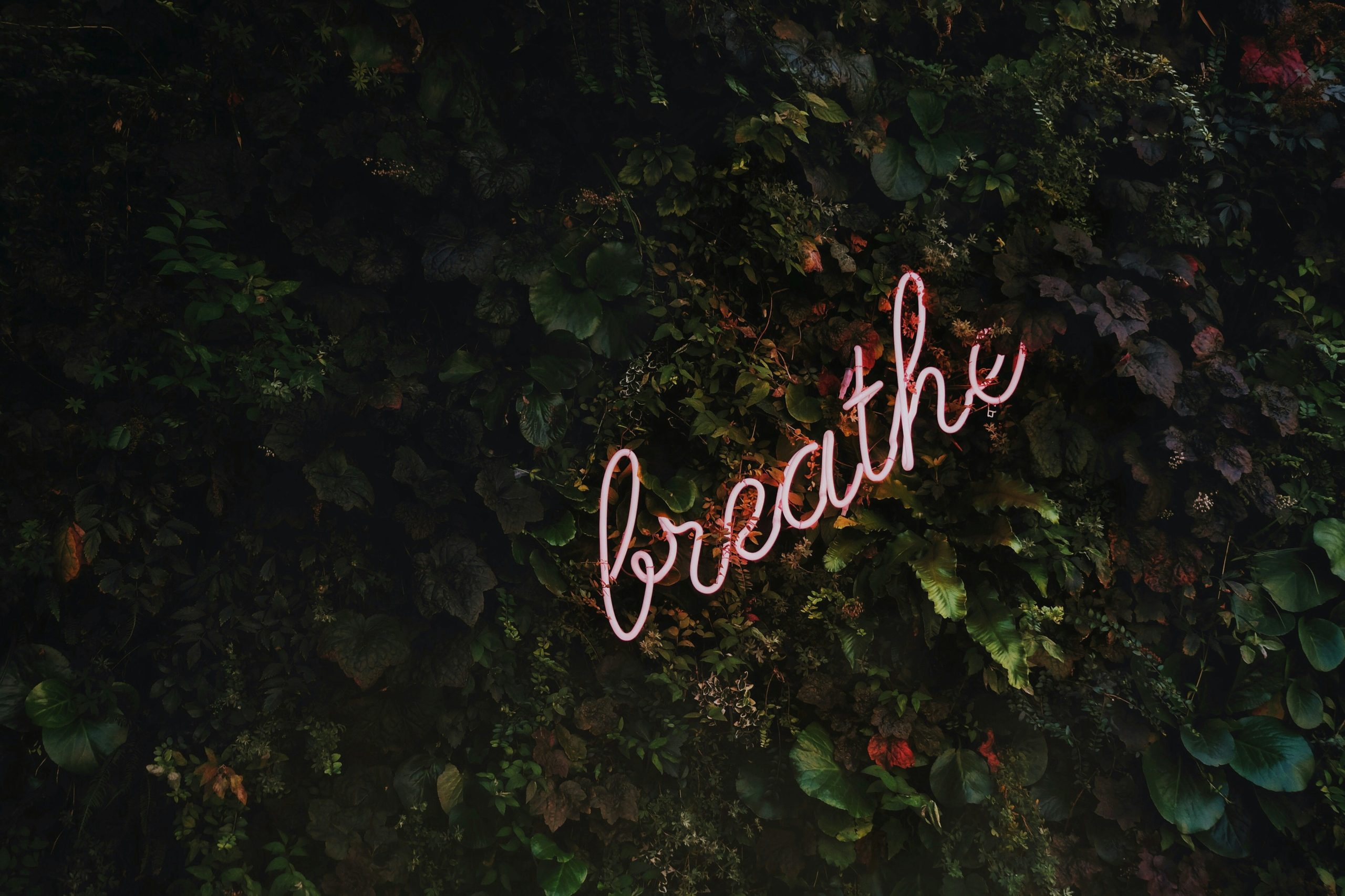 tim goedhart vnpTRdmtQ30 unsplash Cabinet d'hypnose à Monthey, Valais